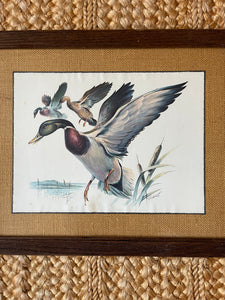 Vintage Ducks in Flight Print